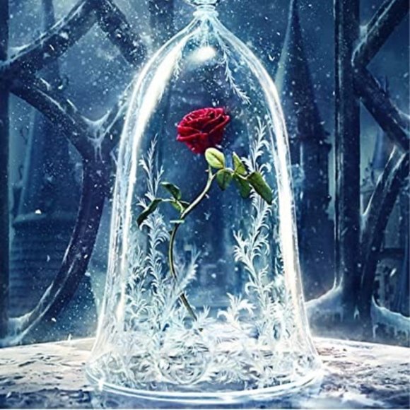 Meet your Posher, Chihayafuru - Picture 1 of 1